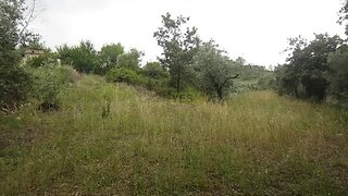 Land for sale in Penela, Portugal — €24,500