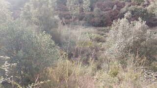 Land for sale in Abrantes, Portugal — €10,000