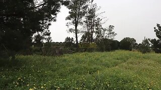 Land for sale in Montijo, Portugal — €150,000