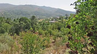 Land for sale in Tarouca, Portugal — €20,000