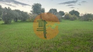 Land for sale in São Brás de Alportel, Portugal — €36,150