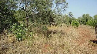 Land for sale in Loulé, Portugal — €25,000