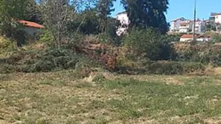 Land for sale in Vila Flor, Portugal — €150,000