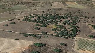 Land for sale in Alandroal, Portugal — €55,000