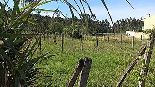 Land for sale in Oliveira do Bairro, Portugal — €29,400