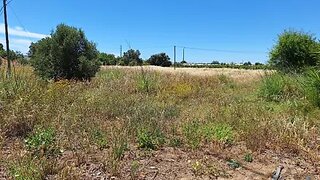 Terreno de 4980 m² em Faro