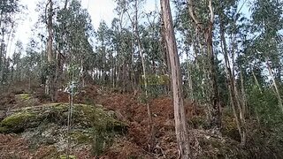 Land for sale in Póvoa de Lanhoso, Portugal — €7,500
