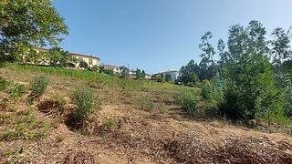 Land for sale in Paredes, Portugal — €65,000