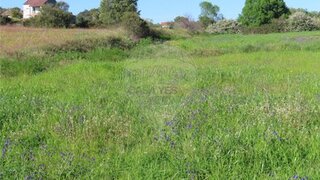 Terreno em Fundão · 60 000 m² · 169 000 €