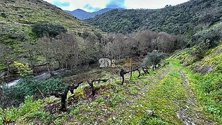 Terreno em Tabuaço