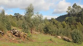 Land for sale in Santo Tirso, Portugal — €250,000