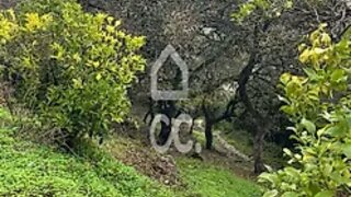 Land for sale in Loures, Portugal — €79,000