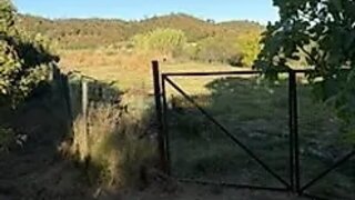 Terreno para venda em Silves, Portugal — 70 000 €