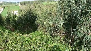 Land for sale in Mafra, Portugal — €90,000