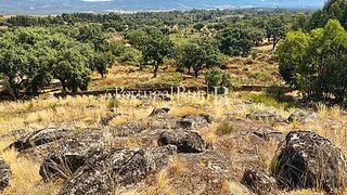 Land for sale in Idanha-a-Nova, Portugal — €9,500