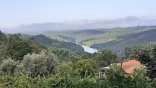 Land for sale in Tábua, Portugal — €110,000
