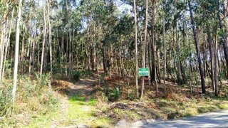 Land for sale in Caminha, Portugal — €210,000