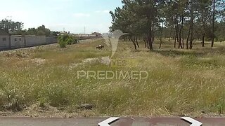 Land for sale in Vagos, Portugal — €70,000