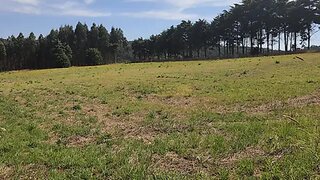 Land for sale in Nazaré, Portugal — €18,000