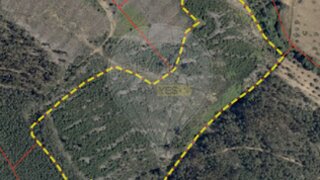 Land for sale in Idanha-a-Nova, Portugal — €19,000