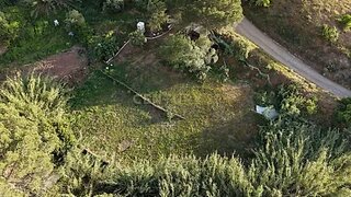 Land for sale in São Brás de Alportel, Portugal — €22,500