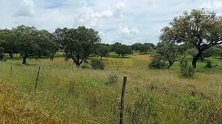 Land for sale in Elvas, Portugal — €35,000