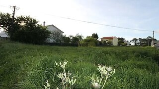 Terreno de 890 m² em Viana do Castelo