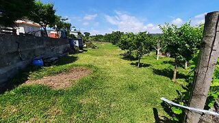 Land for sale in Vila Nova de Famalicão, Portugal — €150,000