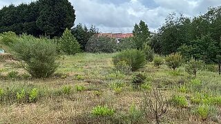 Terreno de 9587 m² em Viseu
