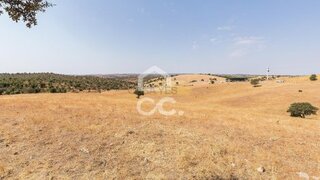 Land for sale in Reguengos de Monsaraz, Portugal — €20,000