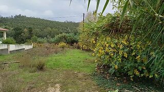 Land for sale in Miranda do Corvo, Portugal — €32,000