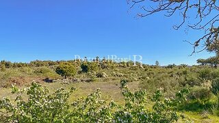 Land for sale in Idanha-a-Nova, Portugal — €38,500