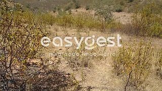 Land for sale in Mértola, Portugal — €30,000