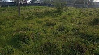 Terreno · 1185 m² · 65 000 €