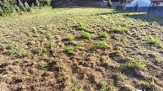Land for sale in Santa Maria da Feira, Portugal — €55,000