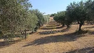 Terreno em Campo Maior