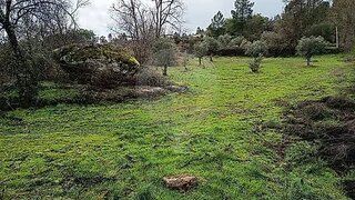 Terreno em Belmonte
