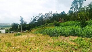 Land for sale in Pombal, Portugal — €60,000