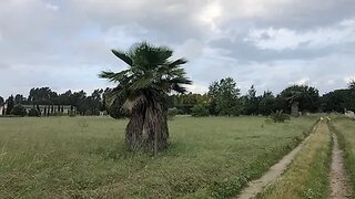Terreno · 5000 m² · 35 000 €