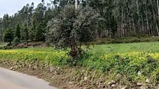 Land for sale in Coimbra, Portugal — €35,000
