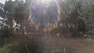 Land for sale in Alcobaça, Portugal — €38,000
