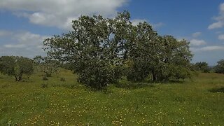 Land for sale in Grândola, Portugal — €600,000