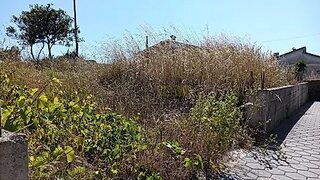 Land for sale in Estarreja, Portugal — €42,500