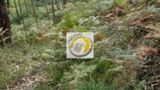 Land for sale in Santa Maria da Feira, Portugal — €23,000