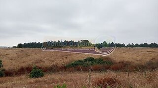 Land for sale in Salvaterra de Magos, Portugal — €190,000