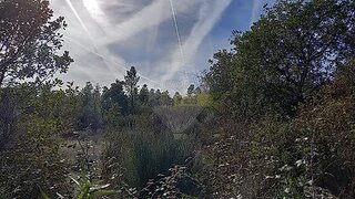 Land for sale in Penamacor, Portugal — €11,000