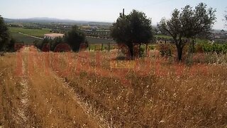 Land for sale in Reguengos de Monsaraz, Portugal — €50,000