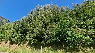 Terreno · 2600 m² · 270 000 €