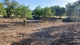Terreno de 1880 m² em Faro
