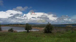 Terreno em Beja